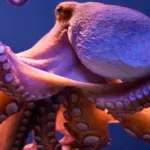 ¿Cuántos tentáculos tiene un pulpo? Descubre su sorprendente anatomía